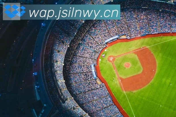 开云体育登录APP 高清赛事图