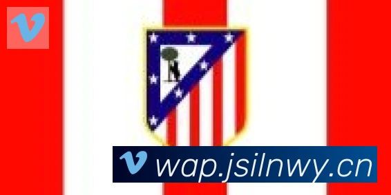 开云体育登录合作伙伴